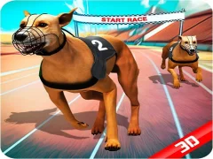 Leikur Crazy Dog Race á netinu