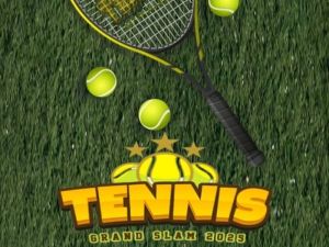 Leikur Tennis Grand Slam 2025 á netinu