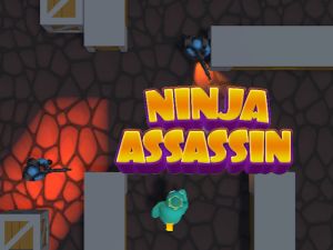 Leikur Ninja Assassin á netinu