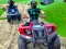 Leikur Quad Bike Off Road Racing á netinu