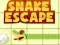 Leikur Snake escape á netinu
