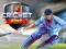 Leikur Cricket 2020 á netinu