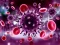 Leikur Coronavirus Puzzle á netinu