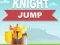 Leikur Knight Jump á netinu