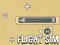 Leikur Flight Sim á netinu