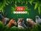 Leikur ZOO Trivia á netinu