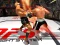Leikur King Boxing 2024 á netinu