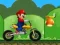 Leikur Mario Fun Ride á netinu