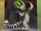 Leikur King Julien: Trommel-Tanz á netinu