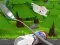 Leikur Monte's Zott: Flight on a spoon á netinu
