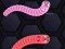 Leikur Angry Worms á netinu