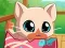 Leikur My Pocket Pets Kitty Cat á netinu