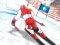 Leikur Winter Sports: Slalom Hero á netinu