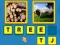 Leikur Assotiation á netinu