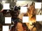 Leikur Transformers 3 image puzzles á netinu