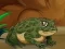 Leikur Frogs Matching á netinu