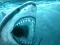 Leikur Hungry Shark á netinu
