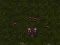 Leikur Starcraft 3 á netinu
