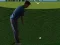 Leikur Flash Golf 3D á netinu