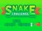 Leikur Snake Challenge á netinu