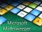 Leikur Microsoft Minesweeper á netinu