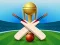 Leikur Cricket Champions Cup á netinu