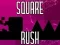 Leikur Square Rush á netinu