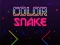 Leikur Color Snake á netinu