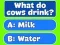 Leikur Trivia Best Family Quiz á netinu