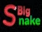 Leikur Big Snake.io á netinu