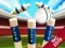 Leikur Mini Cricket: Ground Championship World Cup 2019 á netinu