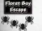 Leikur Floret Boy Escape á netinu