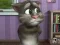 Leikur Talking Tom Cat 2 á netinu