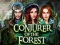 Leikur Conjurer Of The Forest á netinu