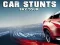 Leikur Car Stunts Sky Tour á netinu