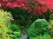 Leikur Maple Leaf Garden Escape á netinu