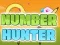 Leikur Number Hunter á netinu