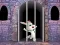 Leikur Victory Rabbit Escape á netinu