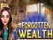 Leikur Forgotten Wealth á netinu