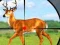 Leikur Wild Hunt Hunting Games 3D á netinu
