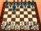 Leikur Chess Master 3D á netinu