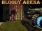 Leikur Bloody Arena á netinu