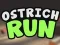 Leikur Ostrich Run á netinu