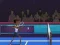 Leikur Badminton Brawl á netinu