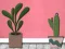 Leikur Find Houseplant á netinu