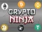 Leikur Crypto Ninja á netinu