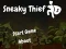 Leikur Sneaky Thief á netinu