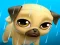 Leikur My Virtual Pet Louie the Pug á netinu