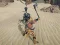 Leikur The Scythian Warrior á netinu