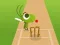 Leikur Doodle Cricket á netinu